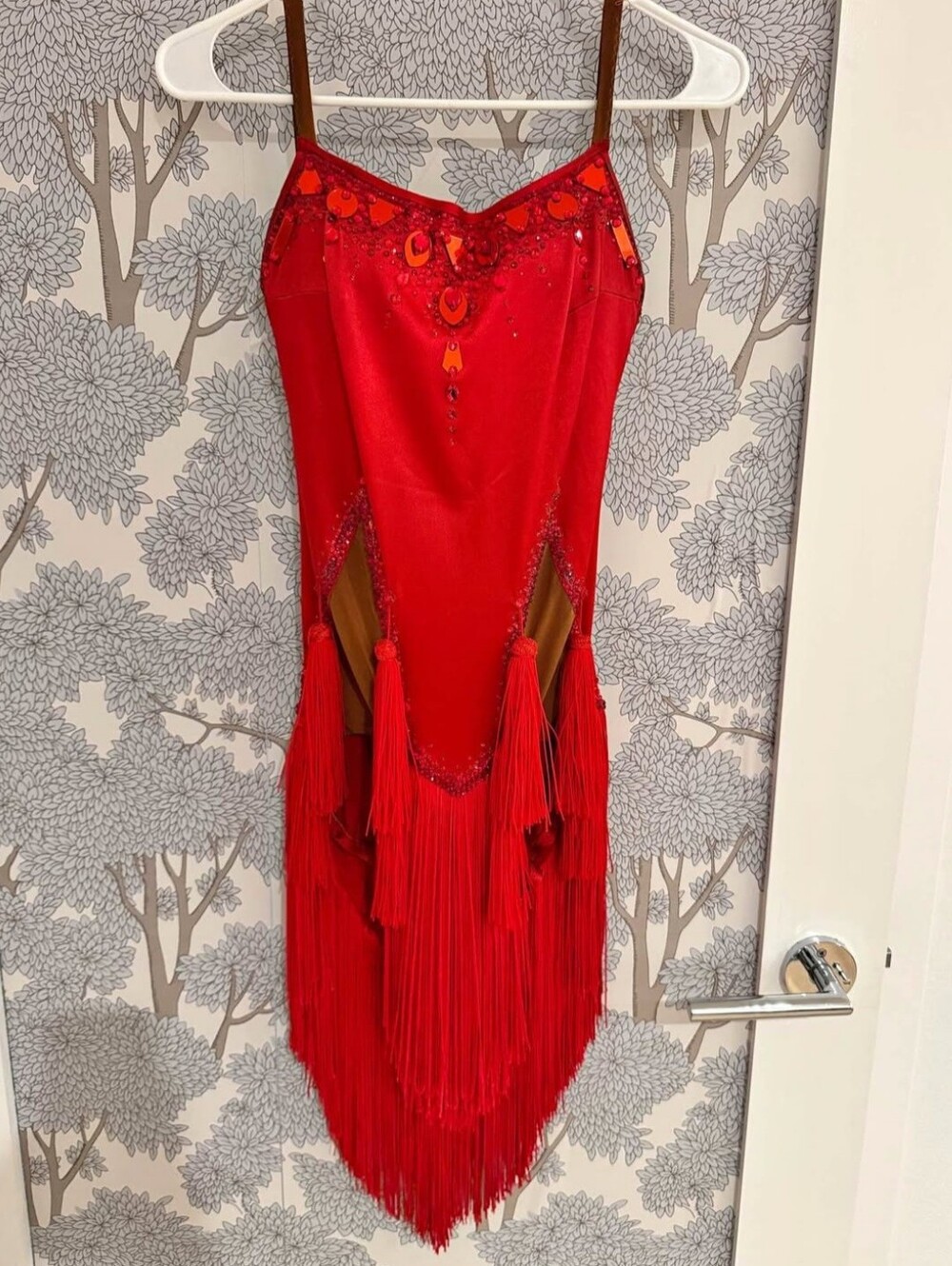 Sirene Red Fringe Rhythm/Latin Ballroom Dress